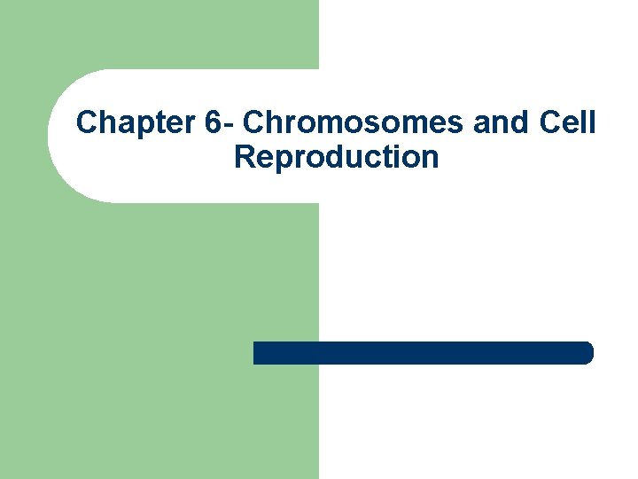 Chapter 6 - Chromosomes and Cell Reproduction 