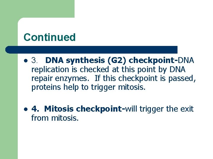 Continued l 3. DNA synthesis (G 2) checkpoint-DNA replication is checked at this point