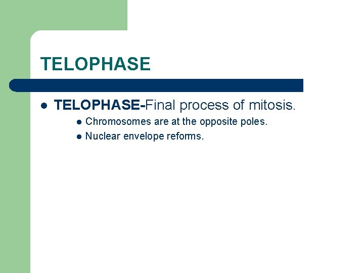 TELOPHASE l TELOPHASE-Final process of mitosis. l l Chromosomes are at the opposite poles.