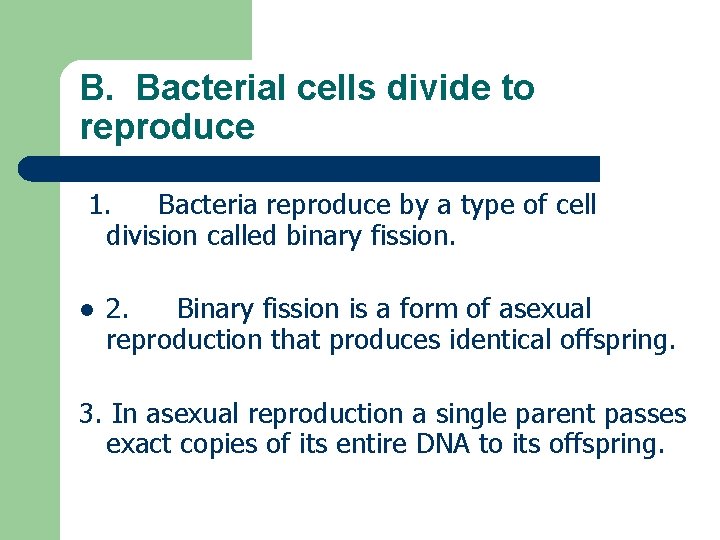 B. Bacterial cells divide to reproduce 1. Bacteria reproduce by a type of cell