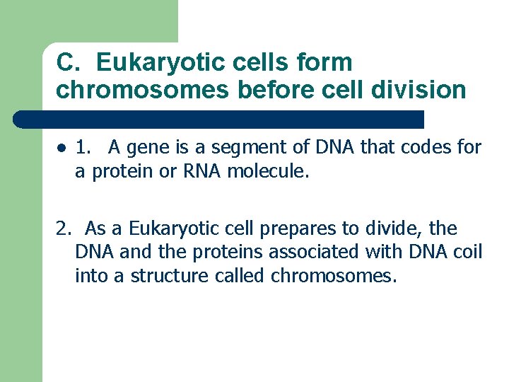 C. Eukaryotic cells form chromosomes before cell division l 1. A gene is a