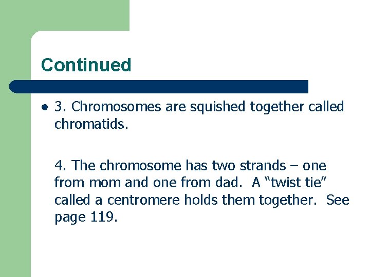 Continued l 3. Chromosomes are squished together called chromatids. 4. The chromosome has two