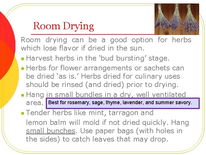 Room Drying Room drying can be a good option for herbs which lose flavor
