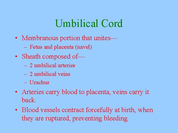 Umbilical Cord • Membranous portion that unites— – Fetus and placenta (navel) • Sheath