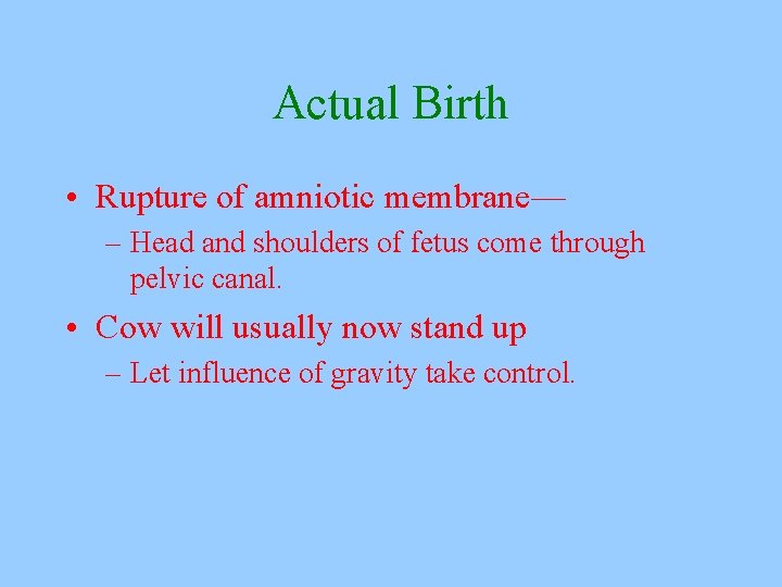 Actual Birth • Rupture of amniotic membrane— – Head and shoulders of fetus come