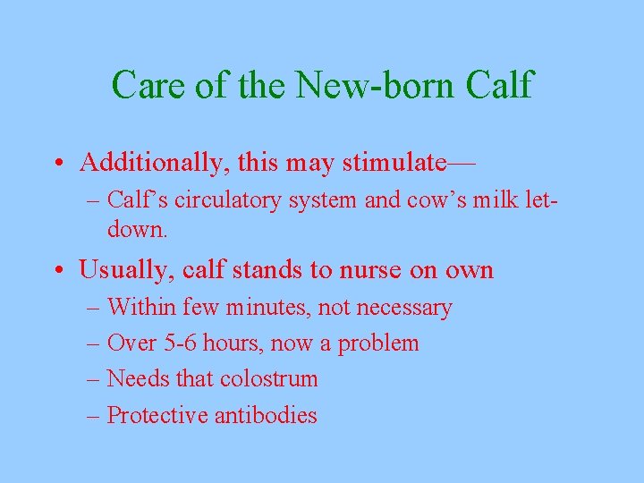 Care of the New-born Calf • Additionally, this may stimulate— – Calf’s circulatory system
