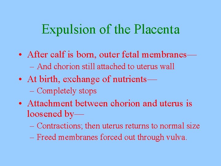 Expulsion of the Placenta • After calf is born, outer fetal membranes— – And