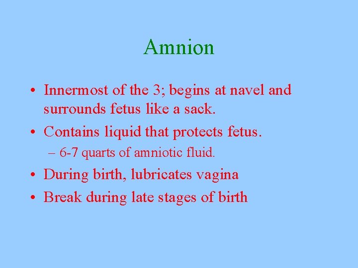 Amnion • Innermost of the 3; begins at navel and surrounds fetus like a