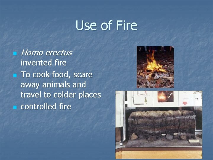 Use of Fire n n n Homo erectus invented fire To cook food, scare
