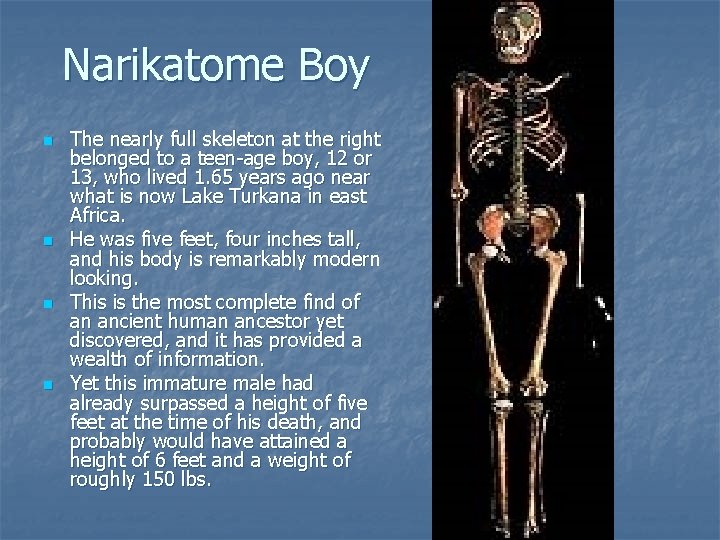 Narikatome Boy n n The nearly full skeleton at the right belonged to a