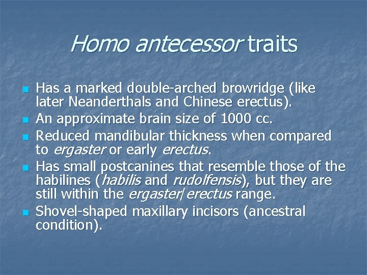 Homo antecessor traits n n n Has a marked double-arched browridge (like later Neanderthals