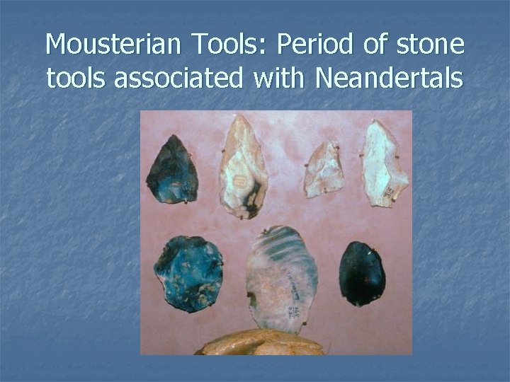 Mousterian Tools: Period of stone tools associated with Neandertals 