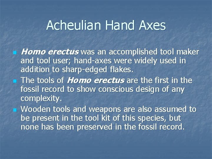 Acheulian Hand Axes n n n Homo erectus was an accomplished tool maker and