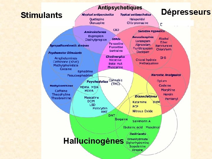 Antipsychotiques Stimulants Hallucinogènes Dépresseurs 