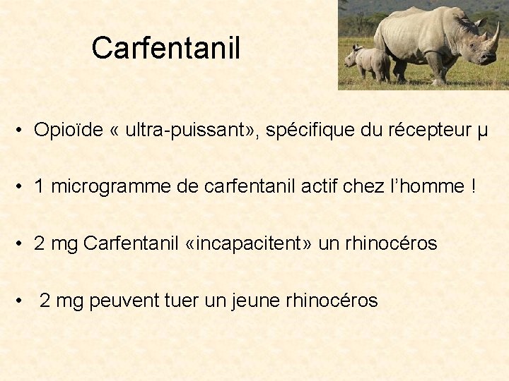 Carfentanil • Opioïde « ultra-puissant» , spécifique du récepteur µ • 1 microgramme de