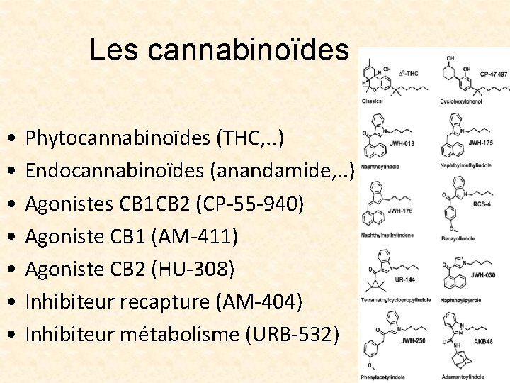 Les cannabinoïdes • • Phytocannabinoïdes (THC, . . ) Endocannabinoïdes (anandamide, . . )