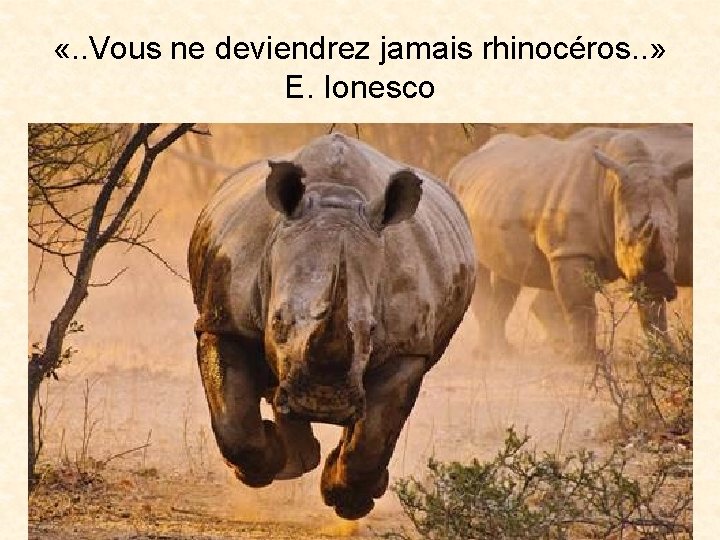  «. . Vous ne deviendrez jamais rhinocéros. . » E. Ionesco 