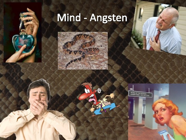 Mind - Angsten 