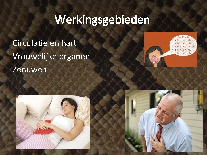 Werkingsgebieden Circulatie en hart Vrouwelijke organen Zenuwen 