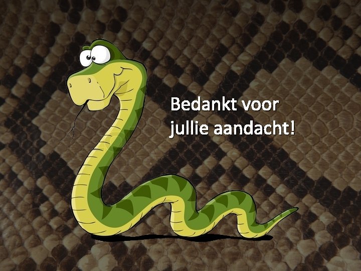 Bedankt voor jullie aandacht! 