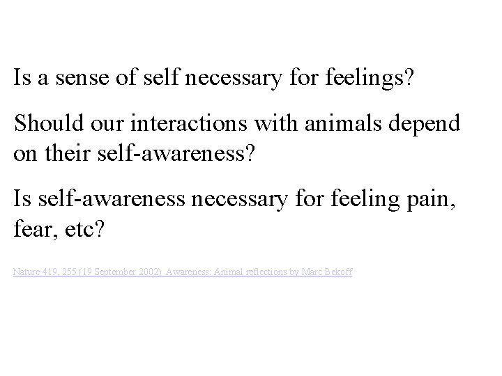 Is a sense of self necessary for feelings? Should our interactions with animals depend