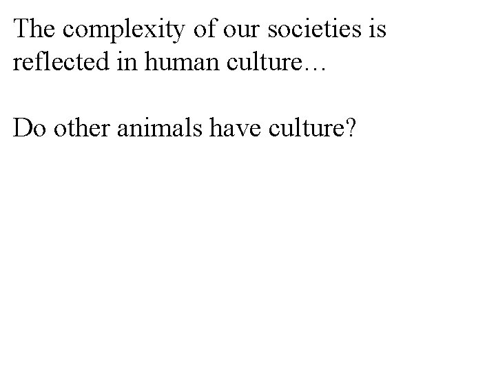 The complexity of our societies is reflected in human culture… Do other animals have