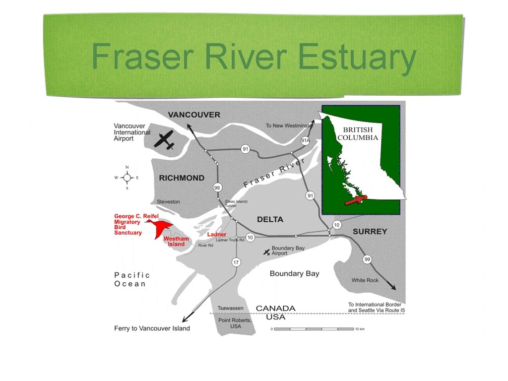 Fraser River Estuary 
