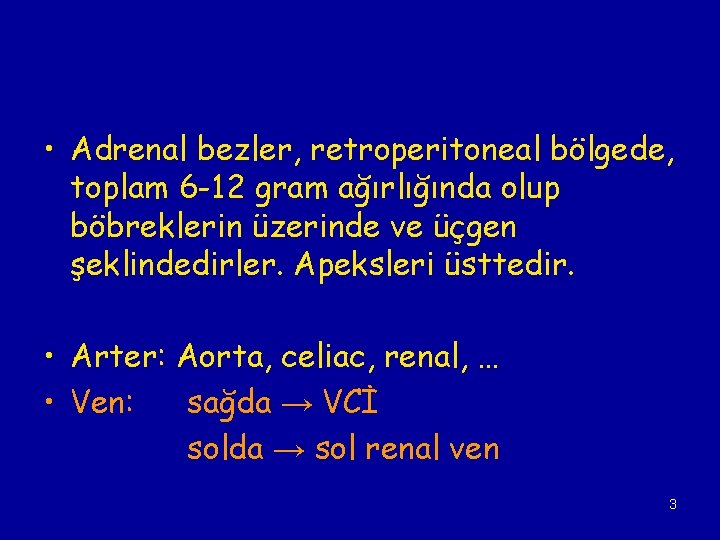  • Adrenal bezler, retroperitoneal bölgede, toplam 6 -12 gram ağırlığında olup böbreklerin üzerinde