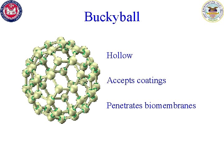 Buckyball Hollow Accepts coatings Penetrates biomembranes 