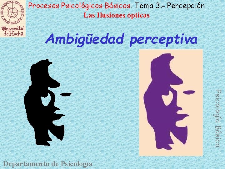 Procesos Psicológicos Básicos: Tema 3. - Percepción Las Ilusiones ópticas Ambigüedad perceptiva Psicología Básica