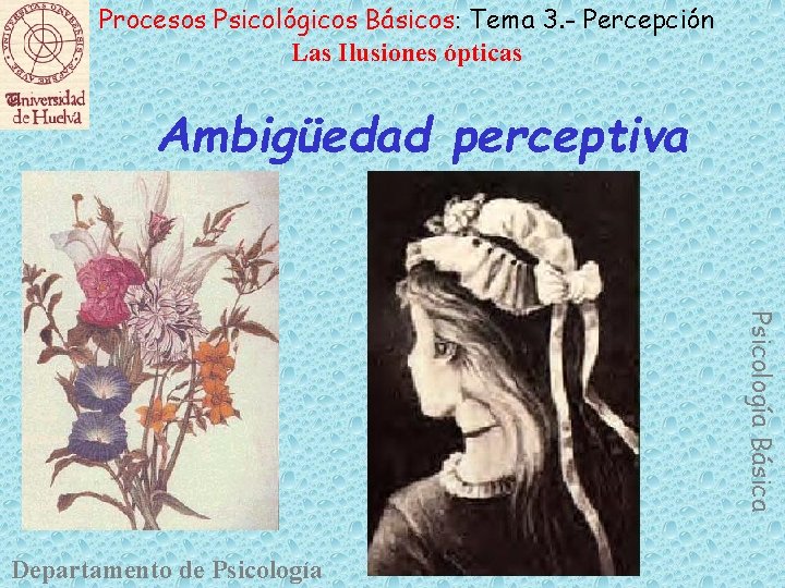 Procesos Psicológicos Básicos: Tema 3. - Percepción Las Ilusiones ópticas Ambigüedad perceptiva Psicología Básica