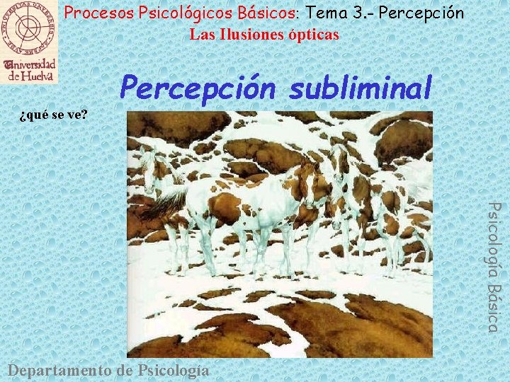 Procesos Psicológicos Básicos: Tema 3. - Percepción Las Ilusiones ópticas ¿qué se ve? Percepción