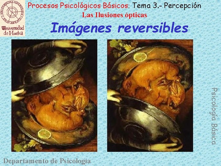 Procesos Psicológicos Básicos: Tema 3. - Percepción Las Ilusiones ópticas Imágenes reversibles Psicología Básica