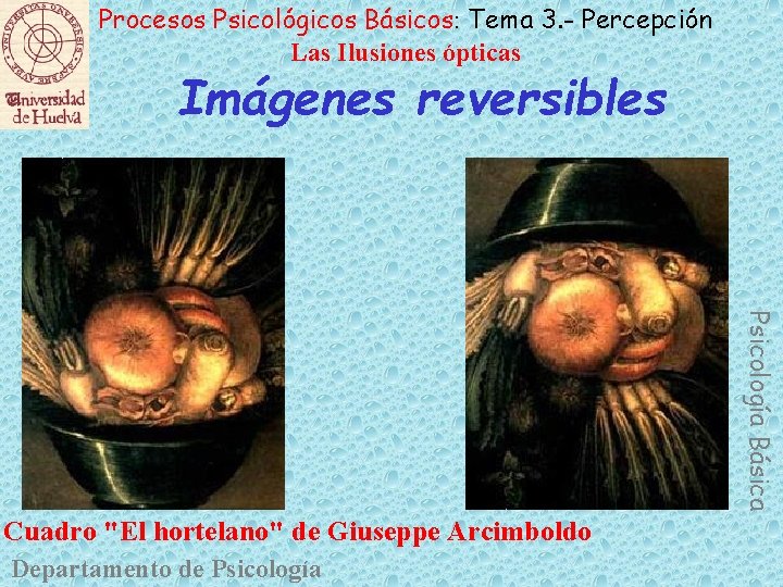 Procesos Psicológicos Básicos: Tema 3. - Percepción Las Ilusiones ópticas Imágenes reversibles Psicología Básica