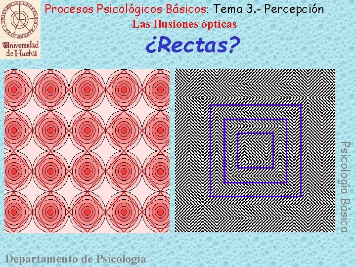Procesos Psicológicos Básicos: Tema 3. - Percepción Las Ilusiones ópticas ¿Rectas? Psicología Básica Departamento