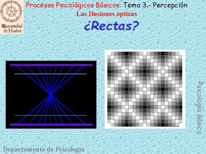 Procesos Psicológicos Básicos: Tema 3. - Percepción Las Ilusiones ópticas ¿Rectas? Psicología Básica Departamento