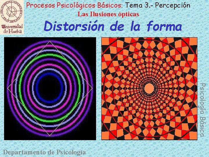 Procesos Psicológicos Básicos: Tema 3. - Percepción Las Ilusiones ópticas Distorsión de la forma