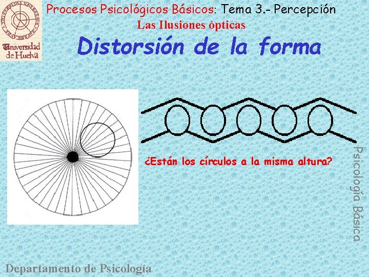 Procesos Psicológicos Básicos: Tema 3. - Percepción Las Ilusiones ópticas Distorsión de la forma