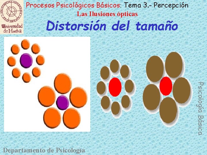 Procesos Psicológicos Básicos: Tema 3. - Percepción Las Ilusiones ópticas Distorsión del tamaño Psicología