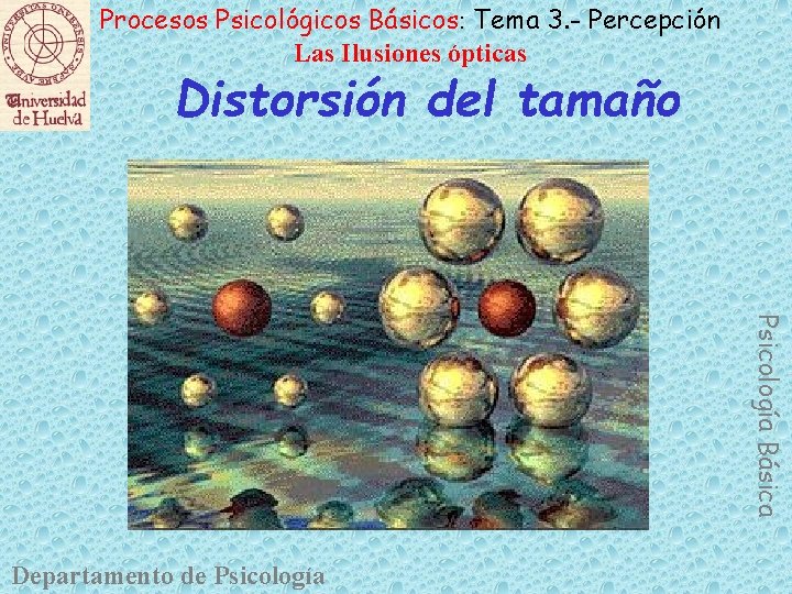 Procesos Psicológicos Básicos: Tema 3. - Percepción Las Ilusiones ópticas Distorsión del tamaño Psicología