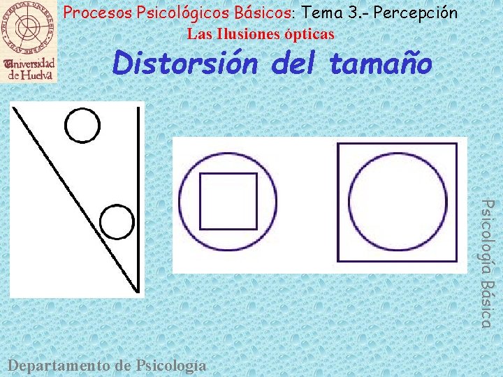 Procesos Psicológicos Básicos: Tema 3. - Percepción Las Ilusiones ópticas Distorsión del tamaño Psicología