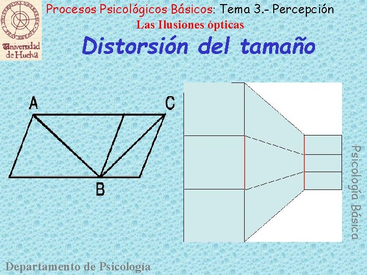 Procesos Psicológicos Básicos: Tema 3. - Percepción Las Ilusiones ópticas Distorsión del tamaño Psicología
