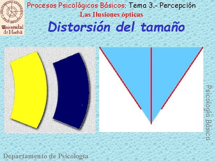 Procesos Psicológicos Básicos: Tema 3. - Percepción Las Ilusiones ópticas Distorsión del tamaño Psicología