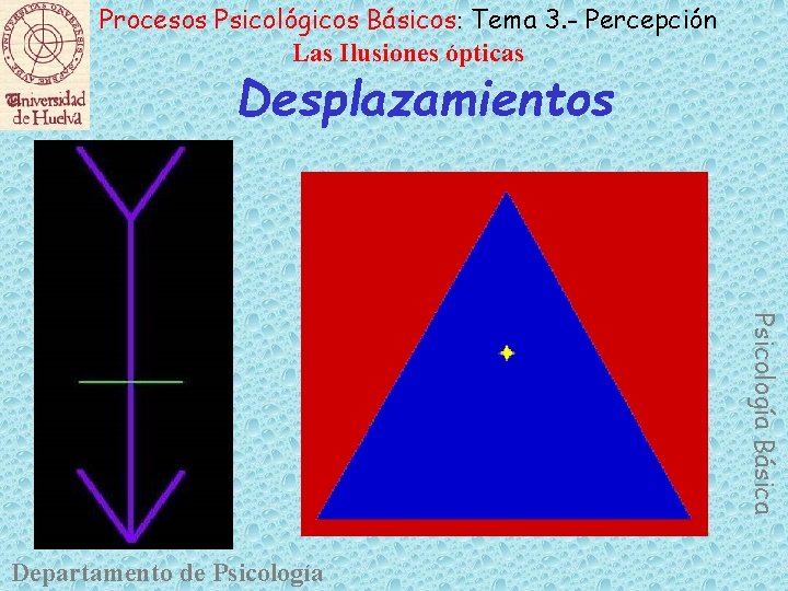 Procesos Psicológicos Básicos: Tema 3. - Percepción Las Ilusiones ópticas Desplazamientos Psicología Básica Departamento