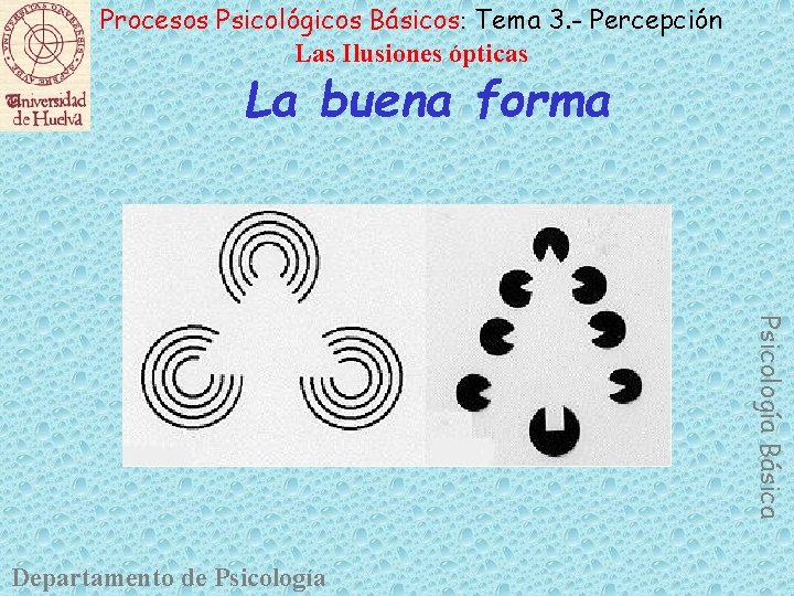 Procesos Psicológicos Básicos: Tema 3. - Percepción Las Ilusiones ópticas La buena forma Psicología