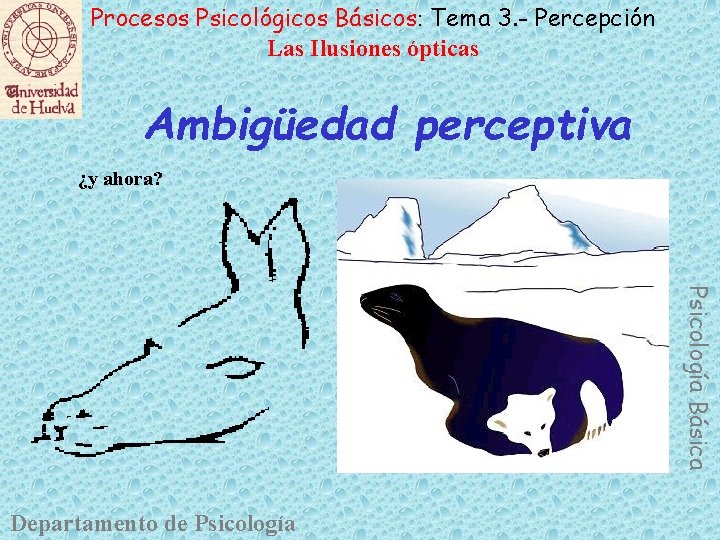 Procesos Psicológicos Básicos: Tema 3. - Percepción Las Ilusiones ópticas Ambigüedad perceptiva ¿y ahora?