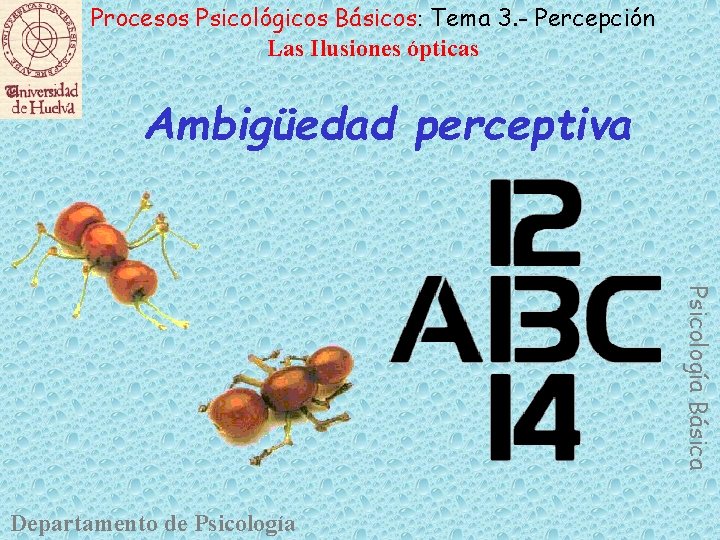 Procesos Psicológicos Básicos: Tema 3. - Percepción Las Ilusiones ópticas Ambigüedad perceptiva Psicología Básica