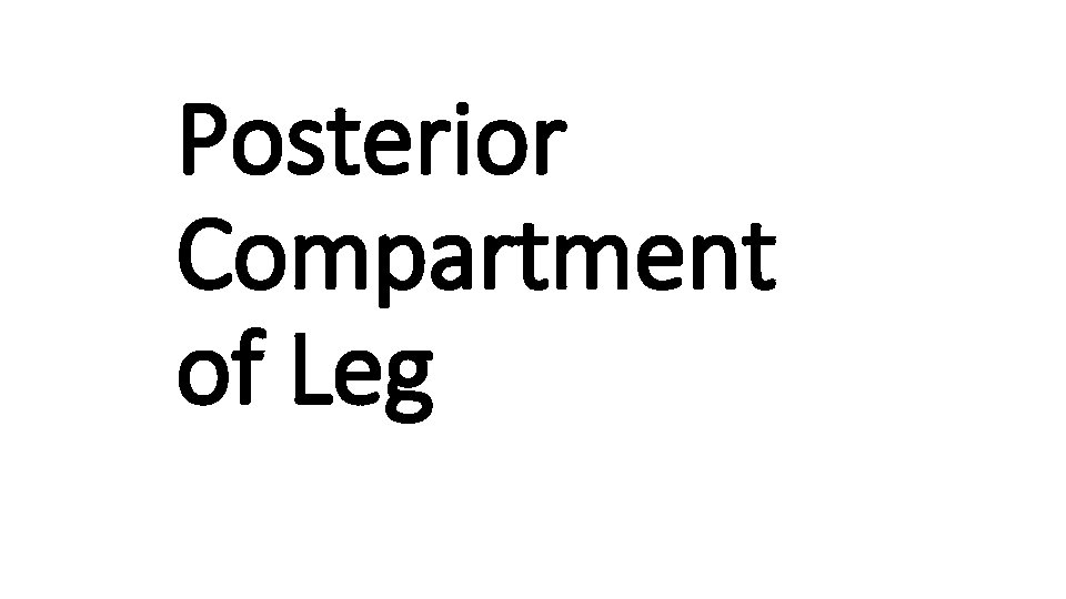 Posterior Compartment of Leg 