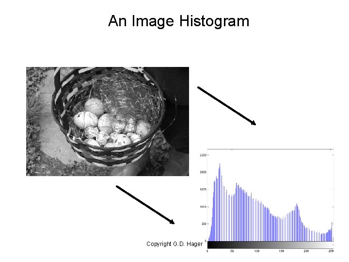 An Image Histogram Copyright G. D. Hager 