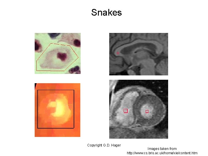 Snakes Copyright G. D. Hager Images taken from http: //www. cs. bris. ac. uk/home/xie/content.